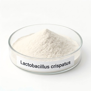 Lactobacillus crispatus 100 mil millones de UFC/g, polvo probiótico de grado alimenticio, ingrediente a granel para suplementos dietéticos - Product Image 1