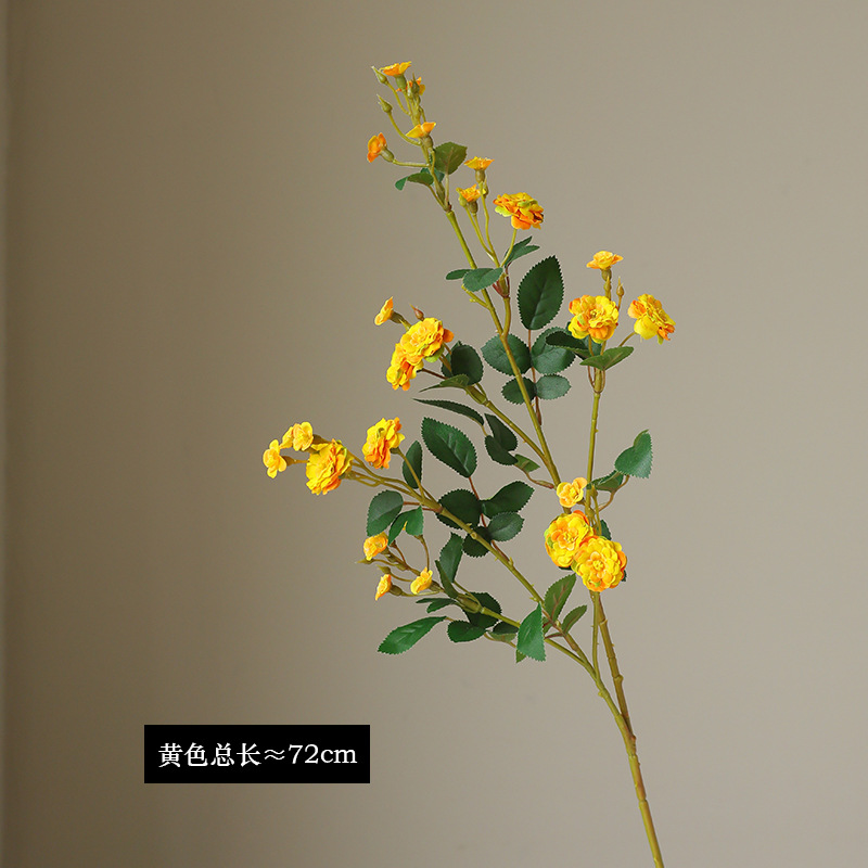 Giallo