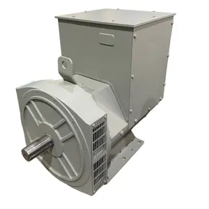 1500rpm 50Hz 50kva 3 pha đôi mang Máy phát điện diesel 40 kW không chổi than phát điện