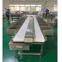 Trieuse de pesage à plusieurs niveaux, machine de pesage et de calibrage pour volailles, poulets dans les abattoirs
