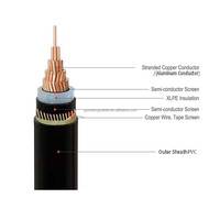 Cable Eléctrico Subterráneo de Media Tensión N2XSEY 12/20kV 35 50 70 95 120mm2 XLPE PVC con Aislamiento de Cobre y Blindaje, Estándar IEC
