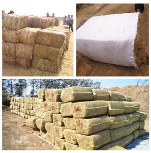 Mini presses à balles agricoles compacteur <span class=keywords><strong>de</strong></span> stockage vert <span class=keywords><strong>de</strong></span> vente chaude - Product Image 4