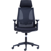 Chaise d'ordinateur moderne en maille de luxe Chaise de bureau ergonomique avec appui-tête réglable Offre Spéciale pour le lieu de travail