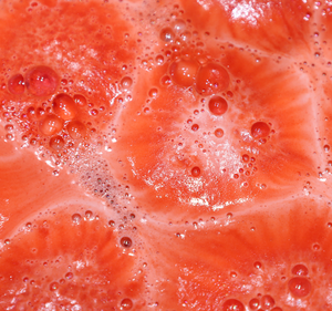 250g aromaterapia Etiqueta Privada colorido hidratante baño bomba rocas venta al por mayor baño rojo Fizzer para niños - Product Image 5