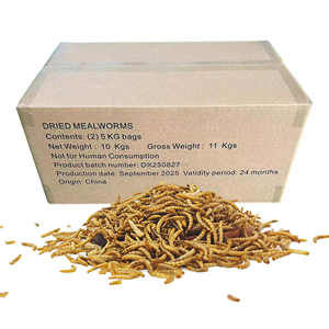 Vers de farine jaunes séchés pour animaux de compagnie, <span class=keywords><strong>insectes</strong></span> séchés, aliments riches en protéines pour poissons - Product Image 3