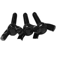 M5 M8 ASTM A325 A307 GR2 GR5 acier galvanisé oxyde noir électrophorèse ZP bord papillon aile machine vis à filetage DIN318