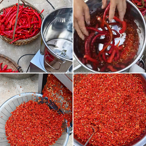 Tritatutto <span class=keywords><strong>Elettrico</strong></span> per Frutta e Verdura in Acciaio Inox per Peperoncino, Carote, Anacardi e Uso Commerciale - Product Image 2