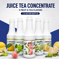Concentrado de Té Líquido Premium, 5 Sabores de Frutas, Certificado HACCP, para Tiendas de Bebidas, Restaurantes, Servicios de Catering, Suministro OEM