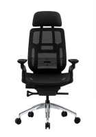 Chaise de bureau ergonomique Eagleseating OEM, best-seller, pour le gaming, avec massage, support lombaire, dossier en maille, pivotante, en nylon