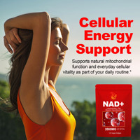 Gélules de Coenzyme NAD à Prix Direct Usine, Contenant de l'Urolithine A, Soutien Énergétique Cellulaire, Complément NAD en Gélules