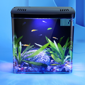 Piccolo filtro posteriore portatile acrilico serbatoio di pesce per i rettili ecologici acquatici, serbatoio di tartaruga serpente con filtro per la pompa dell'acqua di cotone - Product Image 4