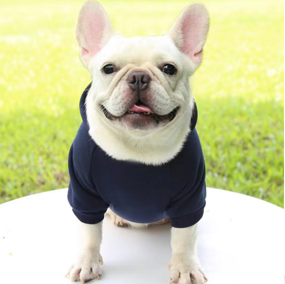 Casual Sporty Style Warm Puppy Dog Cloth Thickened Soft Solid Color Pet Hoodies