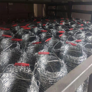 Valla de alambre de púas de bajo precio más vendido, alambre de hierro galvanizado de importación, alambre de púas de seguridad, precio de alambre de púas por rollo - Product Image 2