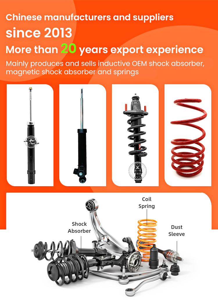 OEM 215/210mm 250N Zational Flexrde Shock Absorber Buggy for Navara