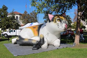 <span class=keywords><strong>2025</strong></span> khổng lồ Đảng trang trí <span class=keywords><strong>Halloween</strong></span> <span class=keywords><strong>Inflatable</strong></span> treo Đen Spider với logo cho bán 3m/10ft, thổi lên nhện - Product Image 3