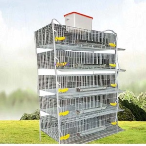 <span class=keywords><strong>Gabbia</strong></span> di allevamento per <span class=keywords><strong>gabbia</strong></span> di quaglia tipo H per galline ovaiole 6 piani ha pulito automaticamente letame allevamento <span class=keywords><strong>gabbia</strong></span> pollame attrezzature agricole - Product Image 2