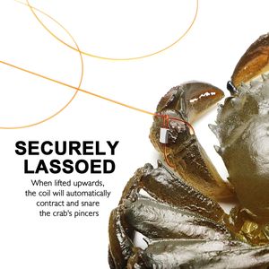 Piège à crabes <span class=keywords><strong>en</strong></span> fil d'aluminium, crochets ronds pour crabes, 6-8 crochets, matériel de pêche <span class=keywords><strong>en</strong></span> gros - Product Image 2