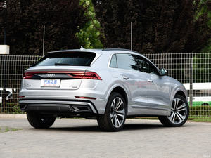 Difusor de parachoques trasero de fibra de carbono con LED para <span class=keywords><strong>Audi</strong></span> Q8 Sport <span class=keywords><strong>SQ8</strong></span> <span class=keywords><strong>2022</strong></span> - Product Image 5