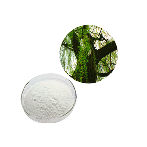 Hot Sale Natural White Willow Extract High Quality Powder for Food Supplement - Product Image 1