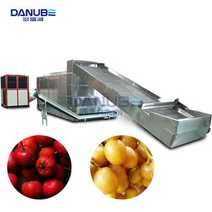 High Productivity Fruit Mesh Belt Dryer Hawthorn and Huangpi Fruit Drying Machine Fruit Cleaning and Slicing Dryer Line - Product Image 1