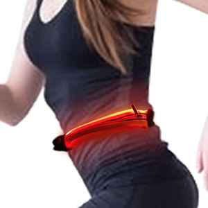 Neon Glo clignotant élastique course course taille ceinture Fanny Pack USB Rechargeable LED Sport Bum taille sac sac à bandoulière - Product Image 1