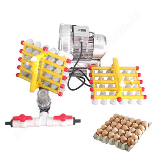 Levage automatique des œufs Machine automatique de classement des œufs Machine pneumatique de levage des œufs - Product Image 3