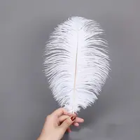 Turkey Feather 20-25cm White Natural Ostrich Feathers