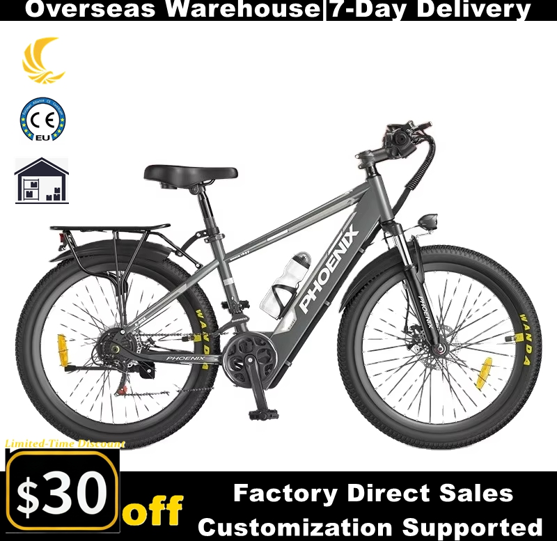 phoenix electric bicycle RS-A01 Pro-T Urban Phoenix Electric Bike Electric