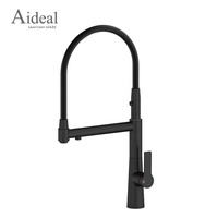 Aideal Hot superbe et fonctionnel robinet de cuisine extractible mélangeant beauté et utilité parfaitement