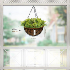Pot de fleurs suspendu avec doublure en fibre de coco, panier en métal rustique pour l'affichage de plantes d'intérieur et d'extérieur - Product Image 4