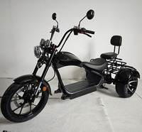 Nuevo Triciclo Eléctrico de 3 Ruedas Loyal, Scooter con GPS, Resistente al Agua, Plegable, Batería de Litio, Autonomía de 60-100 km, Citycoco