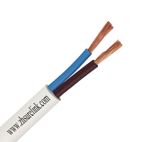 Paire torsadée multi-brins 2 noyaux 1.5mm 2.5mm Home cinéma Hifi ruban plat haut-parleur fil Audio câble Rvb fil électrique