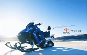 Motoneige à essence pour enfants 180cc 200cc 300cc 700cc, motoneiges pour adultes, ski de fond sur glace - Product Image 4