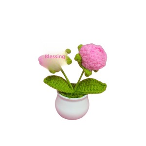 Desktop-Dekoration: Handgefertigte, geflochtene, fertige Geschenk-Topfpflanze für Festtage – Kreative Kunstblumen-Weberei - Product Image 5