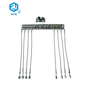 AFKOLOK attrezzature per Gas speciali laboratori industriali cilindro collettore automatico 8 vie in acciaio inox 316 regolatore di pressione - Product Image 2