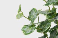 Offres Spéciales Haute Qualité Saxifraga Arbre Artificiel 105CM 11 Branches Real Touch Vert PEVA Matériel Utilisation Intérieure Bonsaï Décoratif