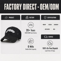 Casquette de baseball en jean personnalisée, broderie 3D, effet déchiré, 6 panneaux, visière incurvée, unisexe, streetwear, chapeau d'extérieur