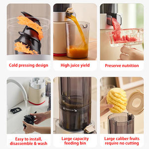 Máquina Extratora de Suco Lenta e Silenciosa para Frutas e Vegetais Inteiros 65dB Uso Doméstico/Comercial com Redução de Tarifas - Product Image 3