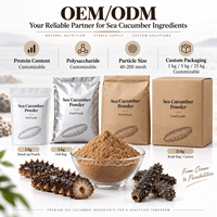 Poudre de Concombre de Mer en Vrac LongBio, Qualité Alimentaire, Protéine Marine Naturelle, Poudre de Concombre de Mer Séché Pur pour Compléments Alimentaires, OEM