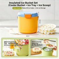 Seau à glace portable Nuosenlai de 2,6 L avec isolation de 2 jours, en matériau ABS, avec blocs de glace à l'eau salée pour le camping et les pique-niques en plein air