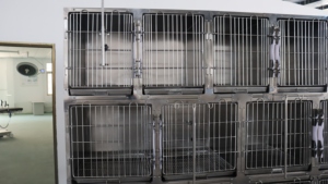 Thực Tế Và Kinh Tế Thép Không Gỉ Động Vật Mèo Hiển Thị Lồng Thú Y Phòng Khám Thiết Bị - Product Image 5