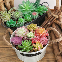 Ensembles spéciaux de plantes succulentes artificielles et de fleurs pour la décoration intérieure de la maison et du bureau