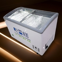 Congélateur coffre commercial 350L, température unique -25°C, pour stockage de crème glacée et présentoir de bâtonnets glacés pour supermarché