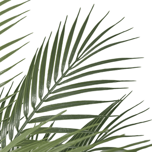 115Cm Nhân Tạo Cây Cọ Nhựa Màu Xanh Lá Cây Cây Cọ Giả Chậu Cây Cây Nhân Tạo Cho Nhà Văn Phòng Trang Trí Sân Vườn - Product Image 5