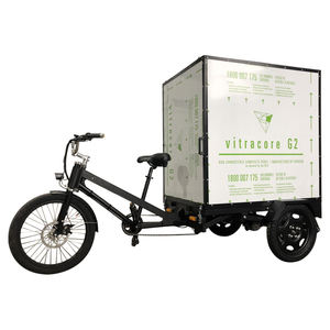 Vélo <span class=keywords><strong>Cargo</strong></span> Tricycle Électrique Homologué CE / Vélo <span class=keywords><strong>Cargo</strong></span> en Vente en UE - Product Image 3