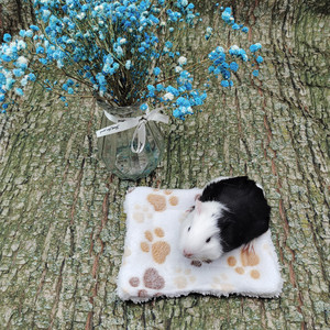 Yıkanabilir gine domuz yatak kullanımlık su geçirmez sıcak pedleri süper emici hamster tavşanlar tüm küçük hayvan kafesi gömlekleri - Product Image 6