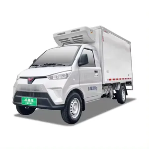 Wuling Unidades de refrigeración de 2 toneladas para camiones y furgonetas Refrigerador Camión Cuerpo Mini Freezer Van