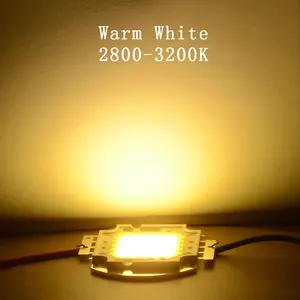 High Power Led Licht Chipkraal 1W 3 W 5W 10W 20W 30W 50W 100W Warm Natuurlijk Koud Wit Diy 1 3 Watt Smd Cob Heldere Schijnwerper Lamp