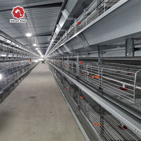 Cage à poulets de type H, équipement d'élevage avicole, également disponible pour les poules pondeuses