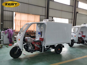 Tricycle Gaea 150M, capacité de 600 kg, rickshaw électrique à 3 roues, chargeur de mobilité fermé avec une vitesse de 30 à 50 km/h et une autonomie de 90 km - Product Image 5
